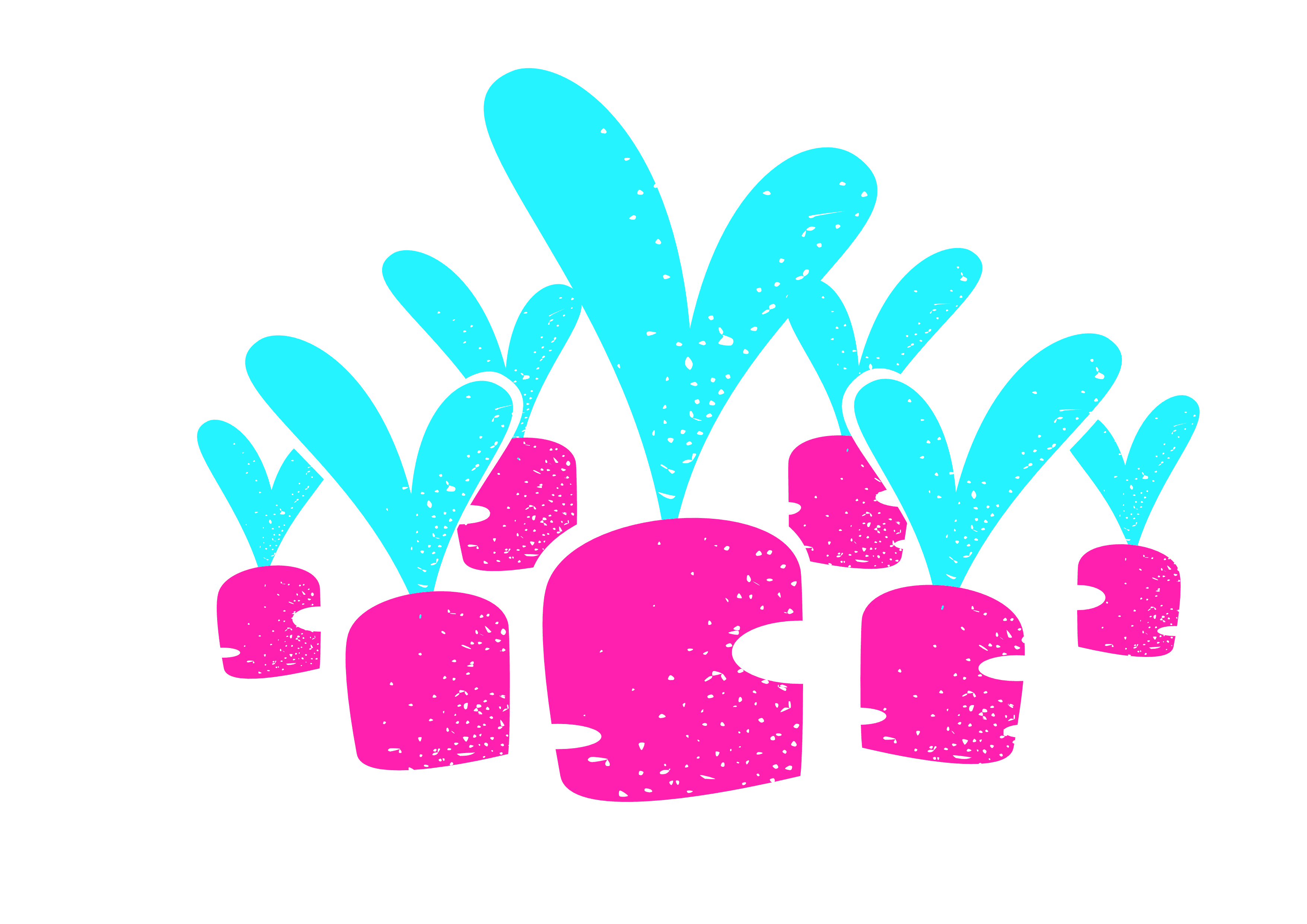 Grow — post-launch optimisation phase of the Funky Rabbit engagement.